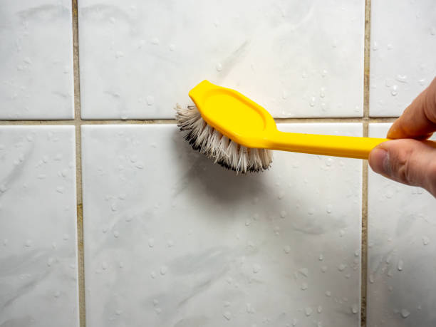 Mold Removal Process in Spencer, NC