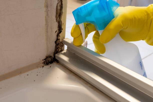 Best Crawl Space Mold Removal  in Speer, NC